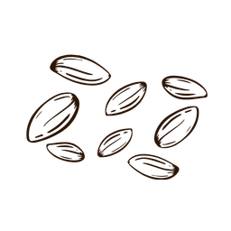 Muskmelon seeds