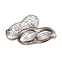 Peanuts